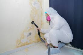 Best Water Damage & Mold Remediation  in West Islip, NY